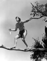 Johnny Weissmuller Quotes. QuotesGram