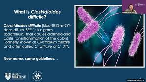 Image result for Clostridioides difficile