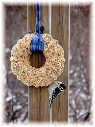 Pour a mixture of fried onions, corn flakes, oatmeals, and brown rice in a bundt pan and pour a suitable amount of water. Make A Fun Molded Bird Seed Wreath Flea Market Gardening