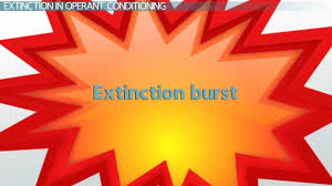 What Is Extinction In Conditioning Definition Explanation Video Lesson Transcript Study Com