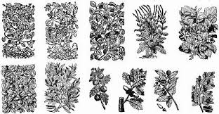 This png image was uploaded on november 13, 2016, 10:27 am by user: Black And White Floral Pattern Free Vector Download 36 511 Free Vector For Commercial Use Format Ai Eps Cdr Svg Vector Illustration Graphic Art Design