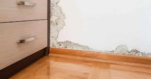 Dazu kommt noch die putzsanierung. Atg Haustrockenlegung Trockenlegung Mit Garantie Zum Fixpreis