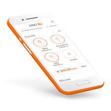 Since the time of its establishment, ing bank śląski s.a. Konto Osobiste Direct Internetowe Konto Bankowe