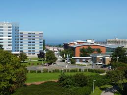 Im ortskern von heiligenhafen und nur 5 minuten von der ostsee entfernt befindet sich die erst 2016 modern gebaute 2,5 zimmer etagenwohnung mit großem balkon im 1. Immobilien Heiligenhafen Reingold Startseite