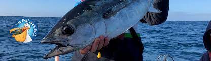 There are a million people who go fishing in victoria, it just touches. Coronavirus Fishing Update Vfa