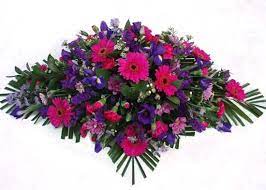 We did not find results for: Funeral Flowers Cerise Purple Spray