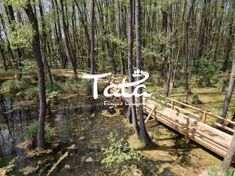 Farkasok 2014 teljes film magyarul. Tatai Fenyes Tanosveny Okotura A Vadregenyes Laperdoben Programturizmus