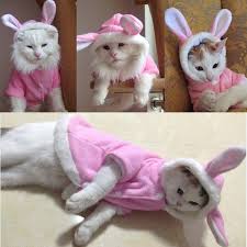 Tavsan Tasarim Pet Giysi Kis Giysileri Kedi Sevimli Kediler Icin Pet Giyim Hoodie Sicak Pet Ceket Kazak Noel Kostum 1 Cat Clothes Pet Bunny Rabbits Pet Clothes
