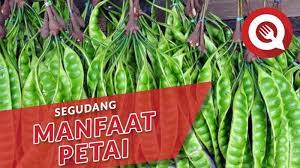 Rumput mutiara memiliki khasiat untuk melancarkan saluran kemih dengan cara alami sehingga kesehatan ginjal akan selalu terjaga. 99 Manfaat Pete Bagi Kesehatan Yang Wajib Kamu Tahu