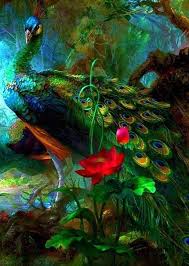 Pin By Cennet On Rosas Peacock Art Peacock Wall Art Peacock Wallpaper