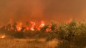 Στην προσαγωγή ενός ατόμου, υπόπτου για εμπρησμό, προχώρησαν οι αρχές στο ασμήνιο οι τοπικές αρχές εξετάζουν αν πρόκειται για το άτομο που φέρεται να έχει βάλει τη φωτιά στο σημείο. Vgl9jwlfcwja0m