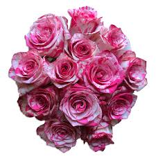 Wedding shoes and flowers bouquet. Magic Times Unique Bicolor Roses Flower Explosion Online