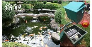 We love that it's not only a filter with an integrated uv light but a pump and water. Bioclean Koi Pond Filter Kodama Koi Farm