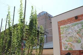 Epingle Sur Musees Et Parcs En Alsace