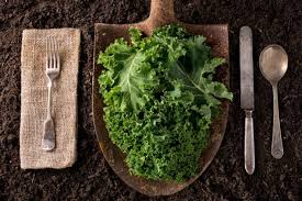 La col kale es una hortaliza que está muy de moda últimamente como un súper alimento por todas si quieres evitar este paso, puedes cocinar la col kale hervida escaldándola unos poco minutos. Sencillas Formas De Cocinar La Col Risada Cocina Y Vino