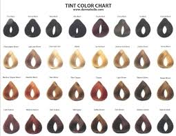 aveda hair color chart swatch guide lajoshrich com