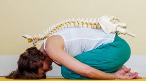 Image result for Musculoskeletal Manipulation