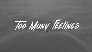 It has been in the top 40 singles for six weeks with a highest position of #24. P Nk Willow Sage Hart Cover Me In Sunshine Lyrics Youtube