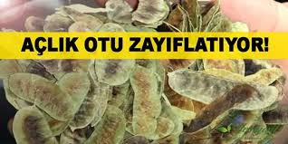 Sign In Otlar Bitki Dogal