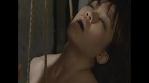 ヘンリー塚本が後世に残したい 実に面白いアダルトビデオ傑作集 1 我らが青春の猥褻AV とってもアブナイ哀愁のAV12 |  マニアックなAVを重点的に販売 地下10階