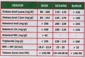 Apa sebenarnya yang dimaksud dengan gula darah tinggi? Testimoni Vivix Bantu Turun Gula Dalam Darah Vitamin Wawa Pengedar Shaklee Aktif