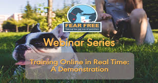 As mentioned above, the majority of promotions are coupon codes, free shipping, free gifts with purchase, discounts on your shopping cart, and access to sale items. Webinars Fear Free Pets