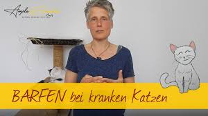 Sie sind 8 jahre zusammen gewesen. Niereninsuffizienz Bei Katzen Todesursache Nr 1 Youtube