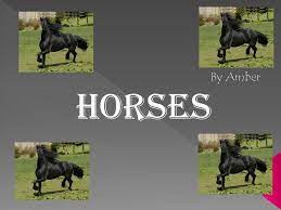 Horses Found All Over The World Horses In Captivity Live On Farms Wild Horses Live In Mountains Fields And Plains Free Roaming Mustangs Ppt Download