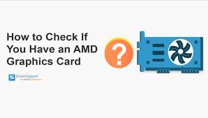 Check spelling or type a new query. How To Check If You Have An Amd Graphics Card