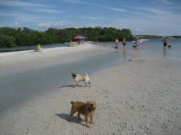 Rough To Get To But Worth The Treck Review Of Dog Beach