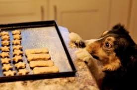 Check spelling or type a new query. Biscotti Per Cani Fatti In Casa Ricette O Gustosi Da Acquistare