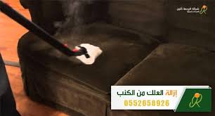 ثلاثون تجعلك منزعجا السابق ازاى اشيل البان من السجاد Pleasantgroveumc Net