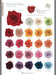 Pin On Preserved Fresh Roses
