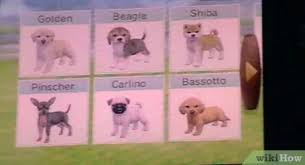Mar 07, 2017 · this page contains a list of cheats, codes, easter eggs, tips, and other secrets for nintendogs + cats: Como Ganar Dinero En Nintendogs 8 Pasos Con Imagenes