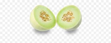 Lovepik memberi anda kartun melon musim panas yang digambar tangan gambar unduh gratis, format file grafik untuk penggunaan pribadi dan komersial. Melon Usa Melon Png Honeydew Png Free Transparent Png Images Pngaaa Com