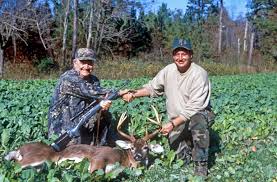 Видео plant the best food plot for deer канала kyafield. Killer Food Plots For Deer In The Woods Great Days Outdoors