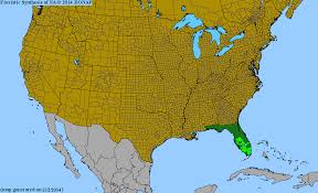 Image result for Mesosphaerum pectinatum