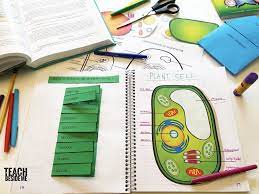 Check spelling or type a new query. Cell Diagrams Interactive Notetaking With Animal Plant Cells Teach Beside Me