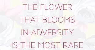 Here is a favorite quote from famous people that have helped me stay on track through life's adventures! The Flower That Blooms In Adversity Is The Most Rare Quotes At Repinned Net