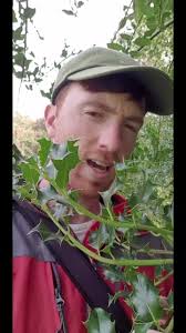 Holly Schell Reddeer