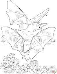 See more ideas about adult coloring pages, coloring pages, adult coloring. Free Printable Bat Coloring Pages For Kids