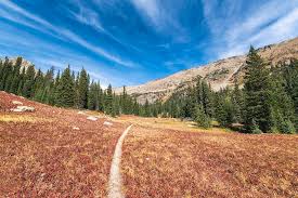Maybe you would like to learn more about one of these? Hiking Trail In The Indian Peaks Wilderness Photograph By Cavan Images
