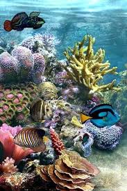 Underwater Fantasy Gorgeous Coral Reef Ocean Creatures Ocean Life Under The Sea