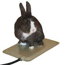 K H Pet Small Animal Self Warming Pet Pad 9 X 12 Small Pets Pet Pads Animals