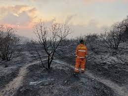 אם נעצרת בארהב על הפרת חוקי הגירה וניתנה לך האפשרות לעזוב מרצון, תהיה חייב להוכיח שאכן חזרת לישראל, ירושלים, הגדה המערבית ו/או עזה עי הופעה אישית בשגרירות ארהב בירושלים או שלוחת השגרירות בתל אביב. 5libd9a7rspw1m