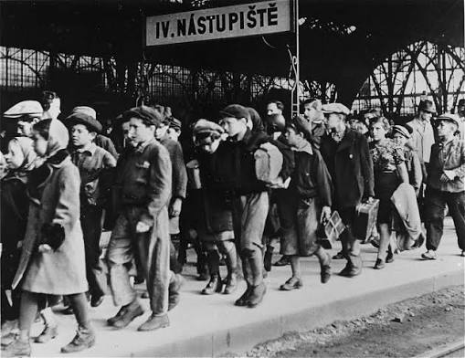 Displaced Persons: Administration | Holocaust Encyclopedia
