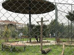 Darica Hayvanat Bahcesi Goruntuler Ile Geziler Hayvanlar