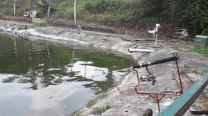 We did not find results for: Kolam Sungai Long Yang Penting Rokok X Tanggal By Herry240778