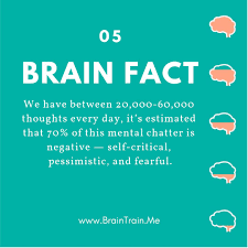 Pin On Brain