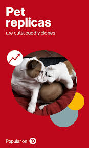 Pet Parents Can T Get Enough Of Their Pets Who Can Blame Them And Now They Re Creating Stuffed Animal Replicas Of The Christmas Fun Holiday Gifts Pet Replica